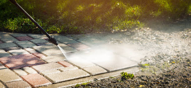 Animal Enclosure Cleaning in Bluff City, TN